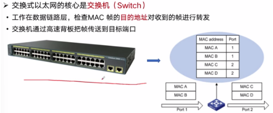 image-20230228163200754